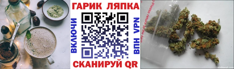 Купить  Болохово  Canna-Cookies конопля 