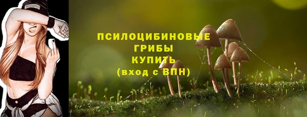 молекула духа Козловка
