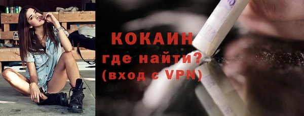 молекула духа Козловка