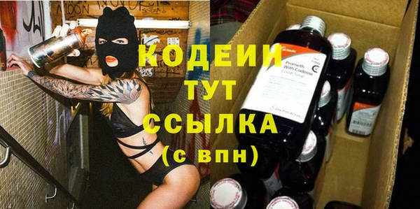 молекула духа Костерёво