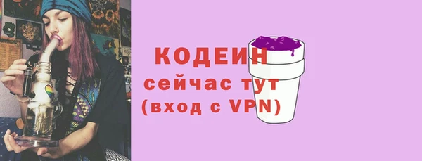 молекула духа Костерёво