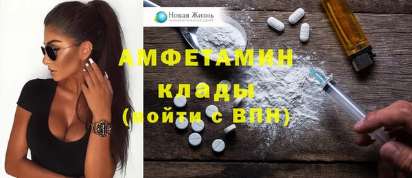 молекула духа Козловка