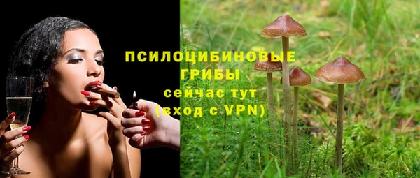 ALPHA-PVP Козельск