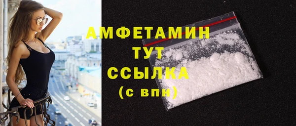 молекула духа Костерёво