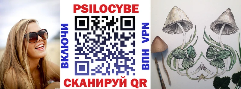 Галлюциногенные грибы Psilocybe  Купить где  Болохово 