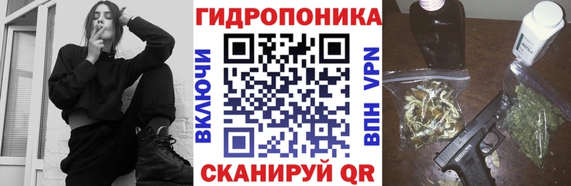 Купить закладки Болохово Каннабис планчик